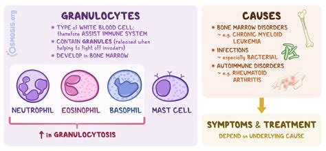 gra blood test low|Granulocytosis: Definition, Causes & Treatment .